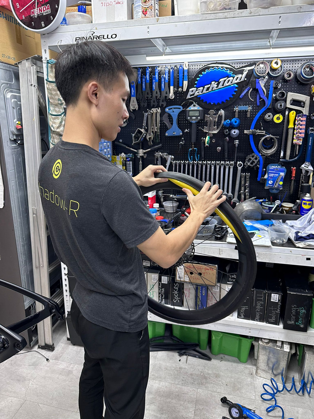 Services – Pro Cycle Bikes
