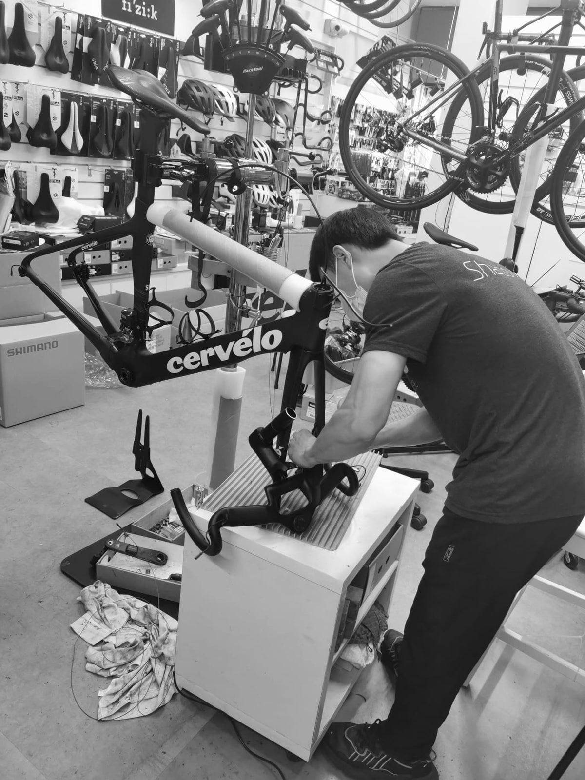Services – Pro Cycle Bikes