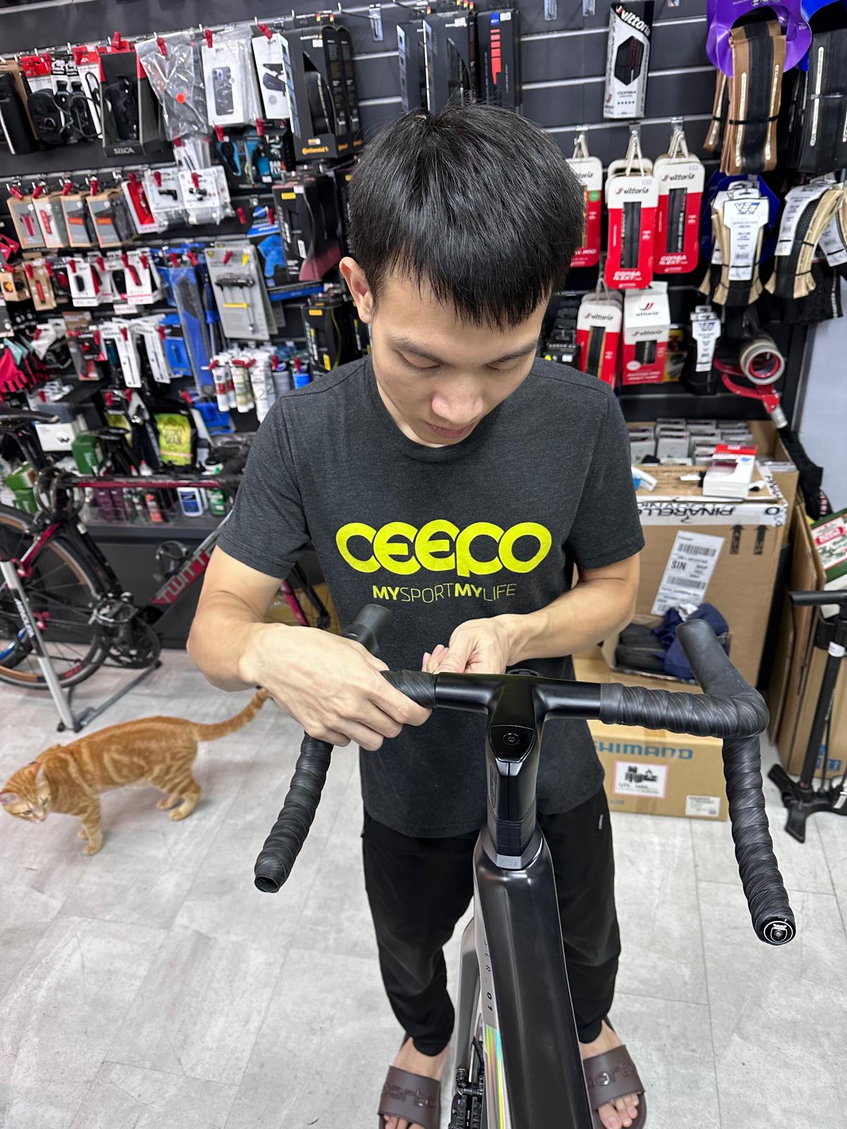 Services – Pro Cycle Bikes